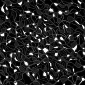Gary War - Split