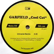 Garfield - Cool Cat Remix
