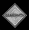 7inch Vinyl Single - Garganta - Social Suicide - Clear Green