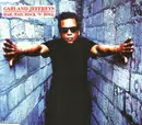 CD Single - Garland Jeffreys - Hail Hail Rock 'N' Roll