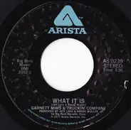 Garnet Mimms & Truckin' Company - What It Is