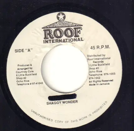 Garnett Silk & Shaggy Wonder - Give Us Strength