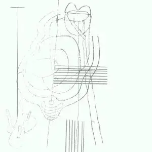 Gastr del Sol - Camoufleur