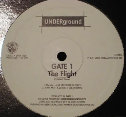 Gate 1 - The Flight