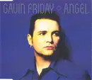 CD Single - Gavin Friday - Angel