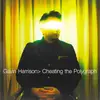 LP - Gavin Harrison - Cheating The Polygraph - Gatefold