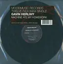12inch Vinyl Single - Gavin Herlihy - Machine At My Homework