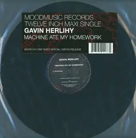 Gavin Herlihy - Machine At My Homework