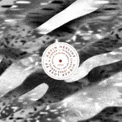 Gavin Herlihy - Higher Love, Death On Balcony Rmx
