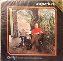 LP - Gaya E Sua Orquestra - Superbem
