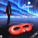 12inch Vinyl Single - Gazebo - Lunatic