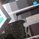 12inch Vinyl Single - Gb - 7 In 24 - Still Sealed