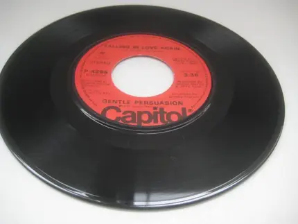 Gentle Persuasion - Falling In Love Again
