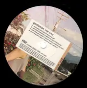 12'' - Gentleman - Dem Gone / Man A Rise