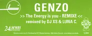 Genzo - The Energy Is You (Remixe)