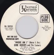 The Casinos - Where Am I (Here I Am)