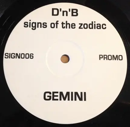 Generation Dub - Gemini