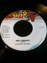 7inch Vinyl Single - General Degree / Farma George - Irie Jamaica / Beauty Contest