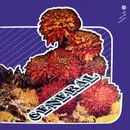 LP - General - Generál II