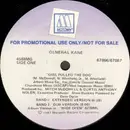 12'' - General Kane - Girl Pulled The Dog - Promo