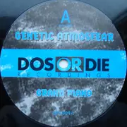 12'' - Genetic Atmosfear - Grand Piano