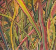 CD - Gengahr - Where Wildness Grows - Digipak