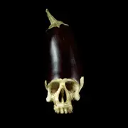 LP & MP3 - Gensu Dean - Whole Food - Still Sealed