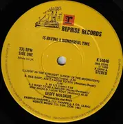 LP - Geoff Muldaur - Is Having A Wonderful Time