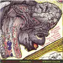 CD - George Clinton And P-Funk All Stars - Go Fer Yer Funk (George Clinton Family Series Vol. 1)