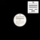 12inch Vinyl Single - George Clinton - Paint The White House Black