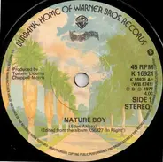 George Benson - Nature Boy