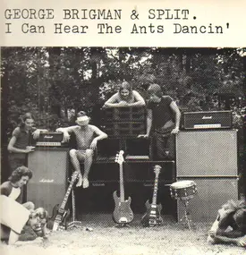George Brigman - I Can Hear the Ants Dancin'