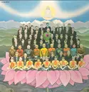 LP - George Harrison - Dark Horse - Gatefold Sleeve