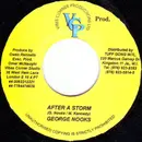 7inch Vinyl Single - George Nooks - After A Storm