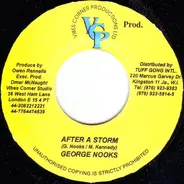 George Nooks - After A Storm