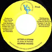 George Nooks - After A Storm