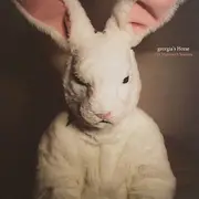 LP - Georgia's Horse - The Mammoth Sessions