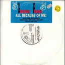 12inch Vinyl Single - Georgie Porgie - All Because Of Me - Promo
