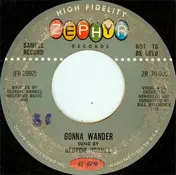 Geordie Hormel - Gonna Wander