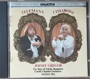 Telemann / Cimarosa - Der Schulmeister / Il Maestro Di Cappella