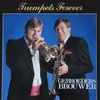 LP - Gebroeders Brouwer - Trumpets Forever