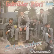 Gebrüder Pfarr - Schneewalzer