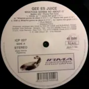 12inch Vinyl Single - Gee Es Juice - Watcha Gonna Do About It