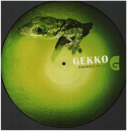 Gekko - Remember The Day