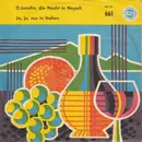 7inch Vinyl Single - Gerd Fitz - Ja, Ja, Nur In Italien