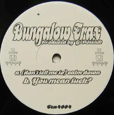 Gerhard Potuznik - Bungalow Trax