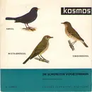 7inch Vinyl Single - Gerhard Thielcke - Die Schönsten Vogelstimmen: Amsel, Singdrossel, Mistdrossel