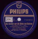 Schellack - Gerhard Wendland , Willy Berking Und Sein Orchester - Das Machen Nur Die Beine Von Dolores / Maja - Mambo