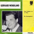 7inch Vinyl Single - Gerhard Wendland - Heut' Bleiben Wir Zu Haus - Mono