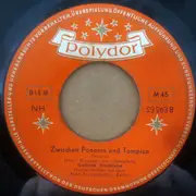 7inch Vinyl Single - Gerhard Wendland - Michigan-Melodie